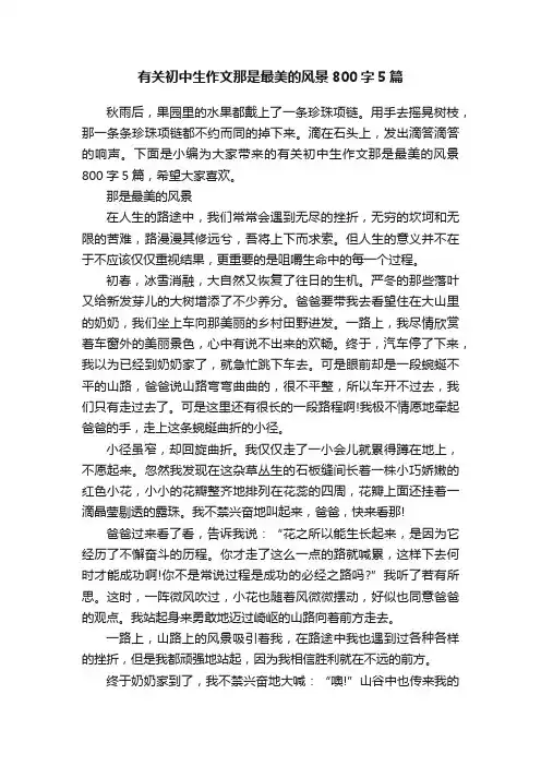 有关初中生作文那是最美的风景800字5篇