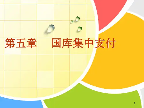 第5章国库集中支付精品PPT课件
