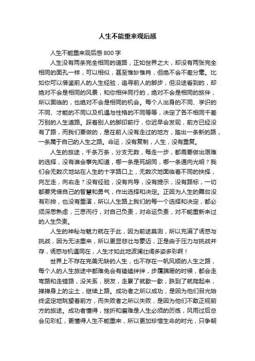 人生不能重来观后感800字