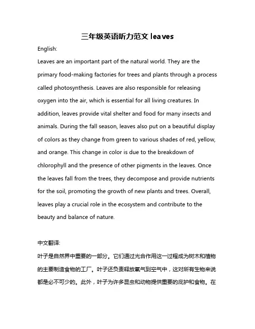 三年级英语听力范文leaves