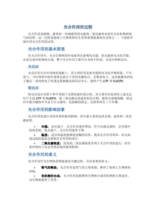 光合作用的过程