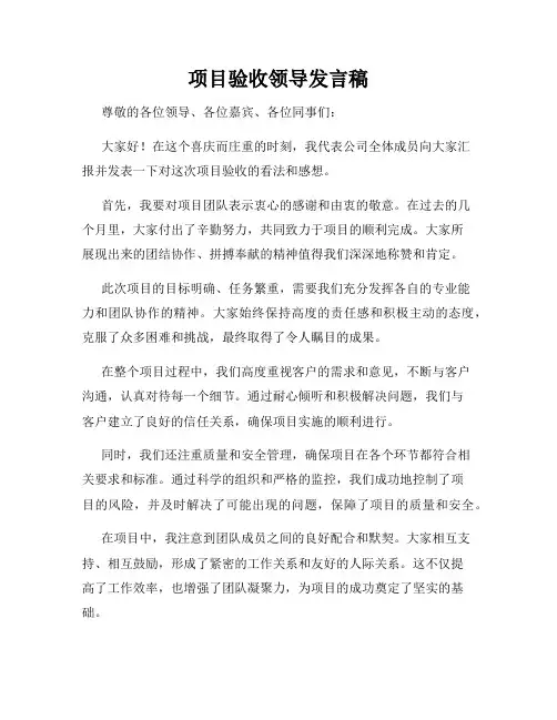 项目验收领导发言稿