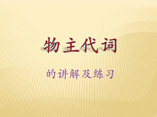 物主代词的讲解及练习