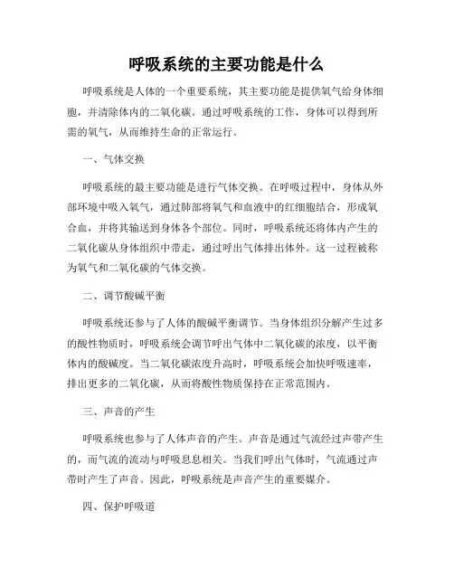 呼吸系统的主要功能是什么