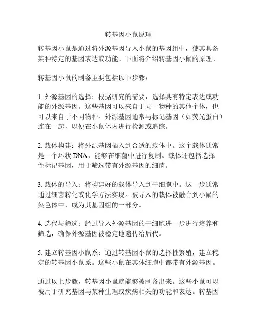 转基因小鼠原理