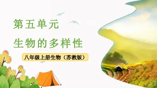 《神奇的微生物》PPT【精品】课件 苏教版
