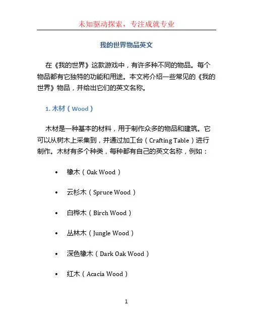 我的世界物品英文