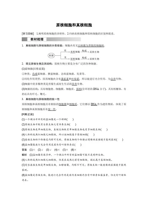 高中生物新教材必修第一册教案讲义：原核细胞和真核细胞