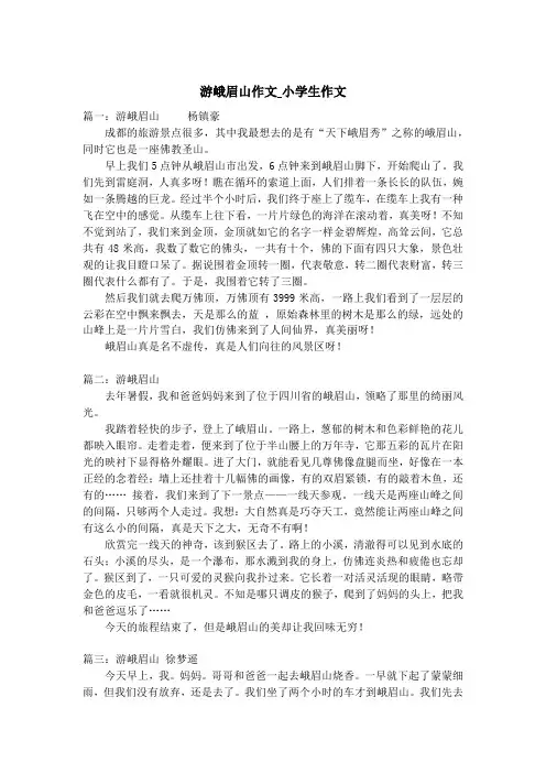 游峨眉山作文_小学生作文