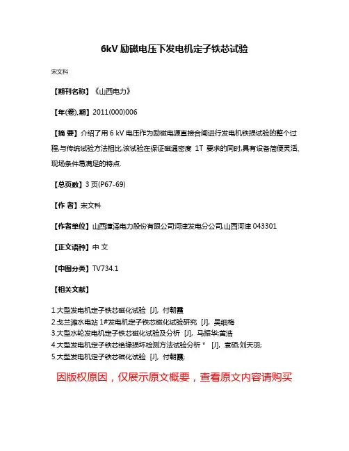 6kV励磁电压下发电机定子铁芯试验