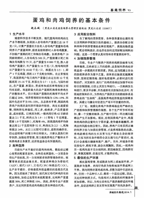 蛋鸡和肉鸡饲养的基本条件