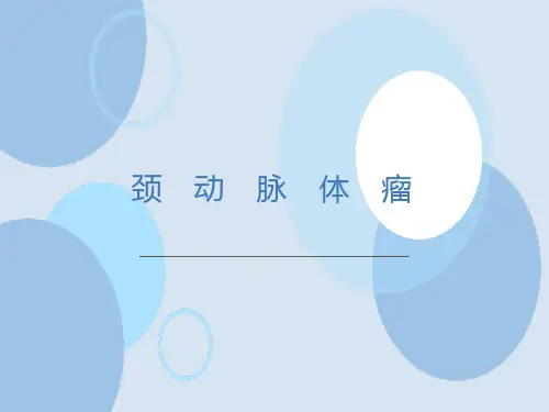 颈动脉体瘤影像诊断
