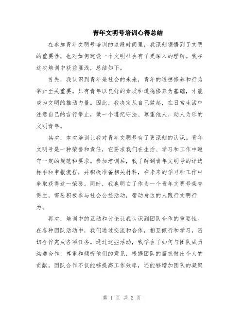 青年文明号培训心得总结