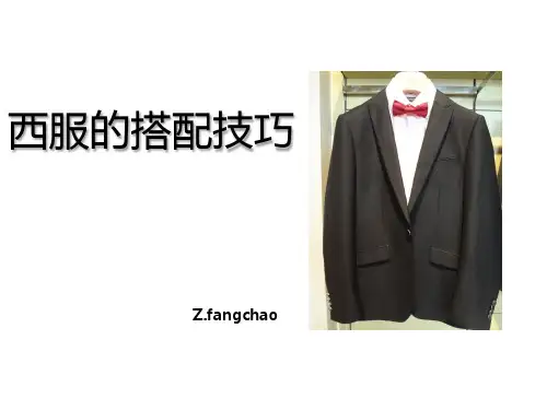 西服搭配技巧 ppt课件