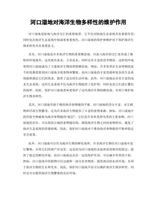 河口湿地对海洋生物多样性的维护作用