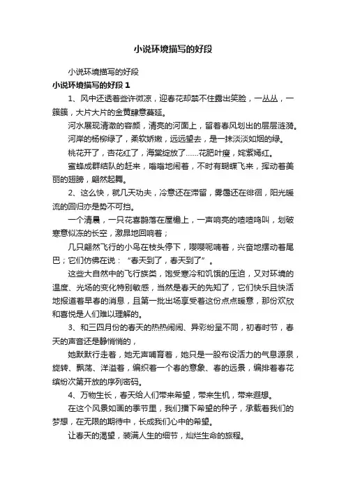 小说环境描写的好段
