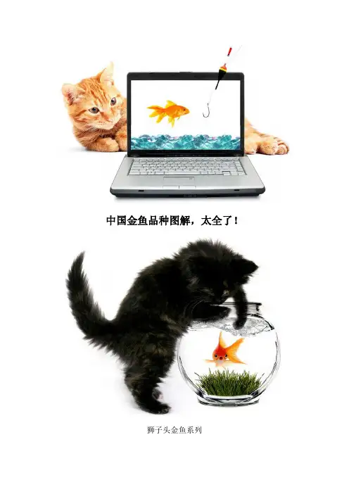 中国金鱼品种图解