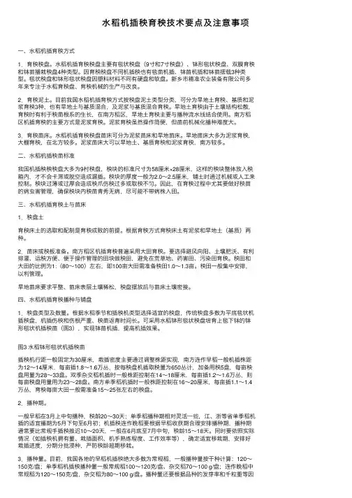 水稻机插秧育秧技术要点及注意事项