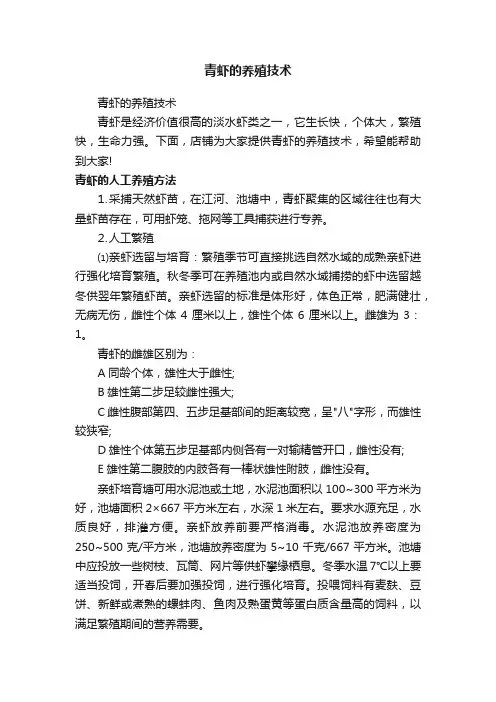 青虾的养殖技术