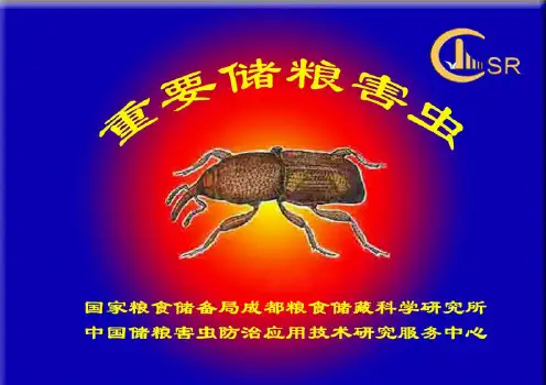 重要储粮害虫