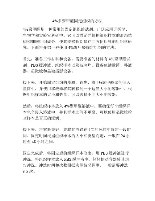 4%多聚甲醛固定组织的方法
