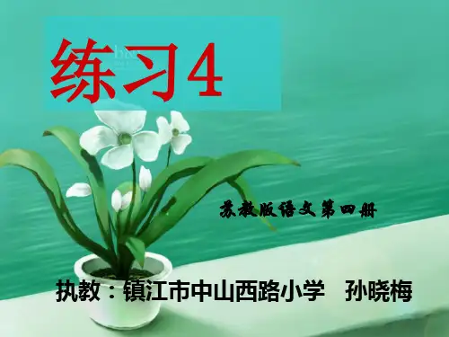 苏教语文练习4学用字词句