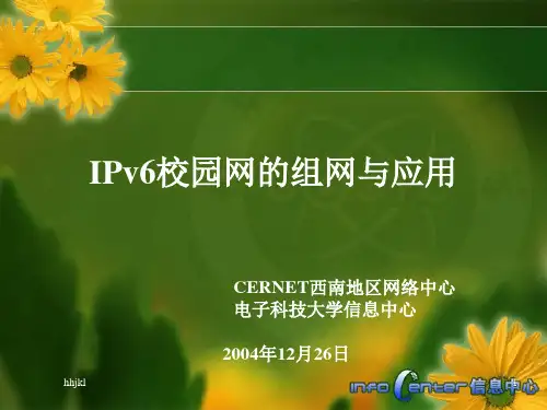 最新IPv6校园网的组网与应用