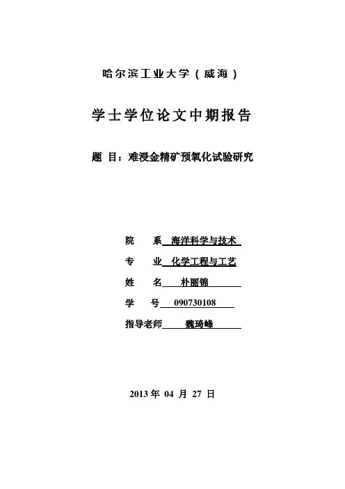 中期报告