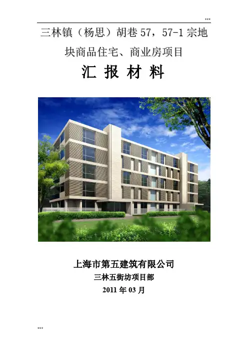 三林镇(杨思)胡巷57,57-1宗地块商品住宅、商业房项目汇报材料