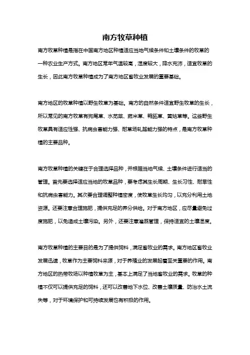 南方牧草种植