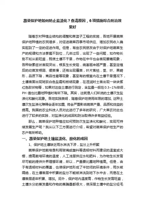 蔬菜保护地如何防止盐渍化？查清原因，6项措施综合防治效果好
