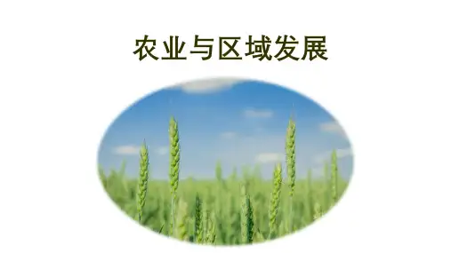 2025届高考地理一轮复习：农业与区域发展+课件