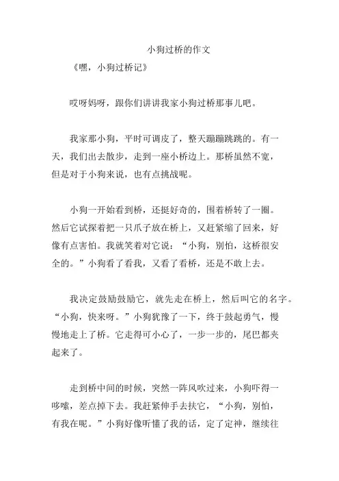 小狗过桥的作文