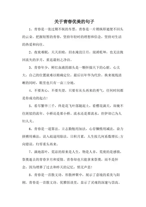 关于青春优美的句子