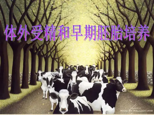 高中生物选修三3.2 体外受精和早期胚胎培养