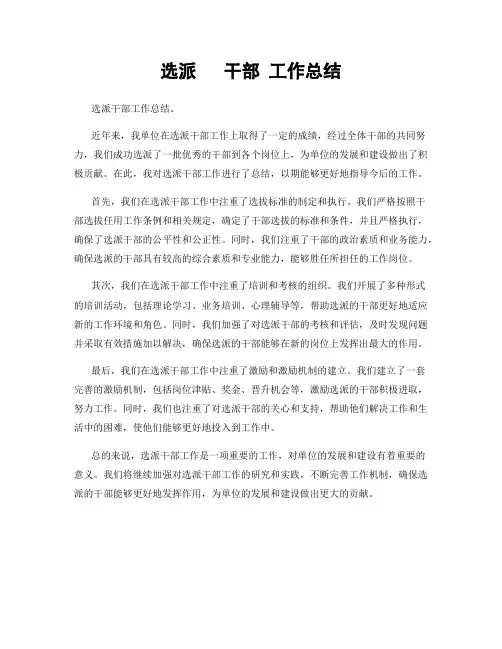 选派   干部 工作总结