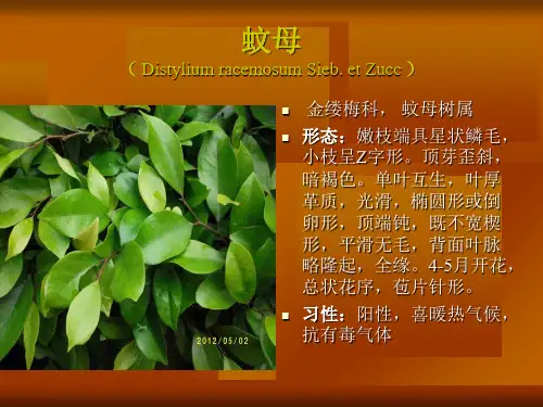 园林植物识记PPT课件