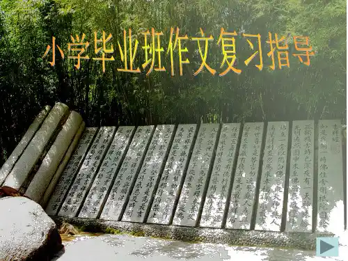 小学生毕业作文指导