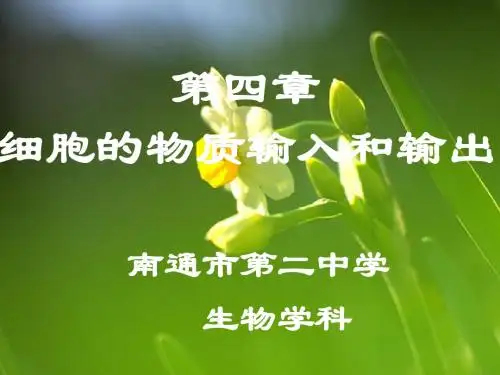 人教版教学课件江苏省南通市第二中学高一生物《41 物质跨膜运输的实例》课件 必修一