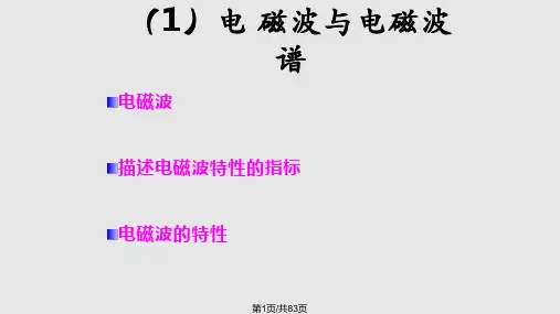 遥感的物理基础简PPT课件