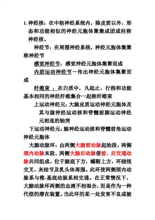 神经系统复习思考题