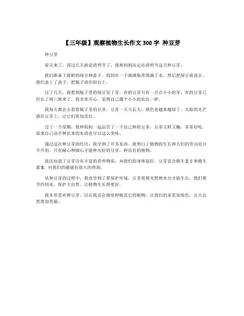 【三年级】观察植物生长作文300字 种豆芽