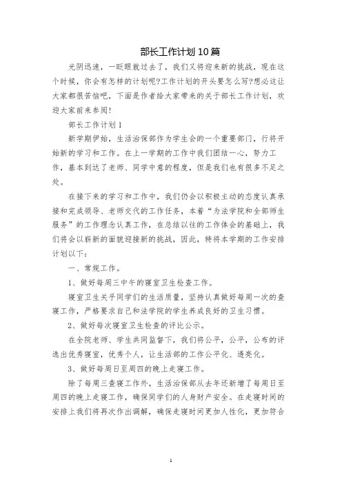 部长工作计划10篇