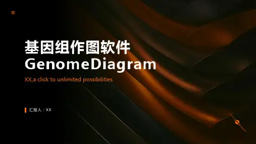 基因组作图软件GenomeDiagram