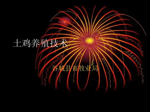 土鸡养殖技术