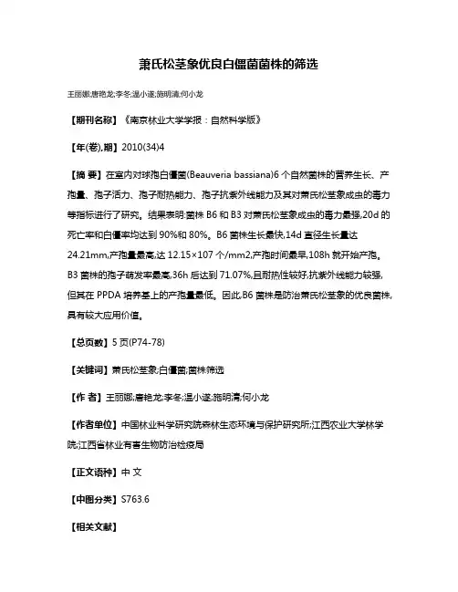 萧氏松茎象优良白僵菌菌株的筛选