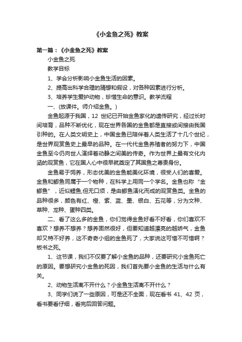 《小金鱼之死》教案