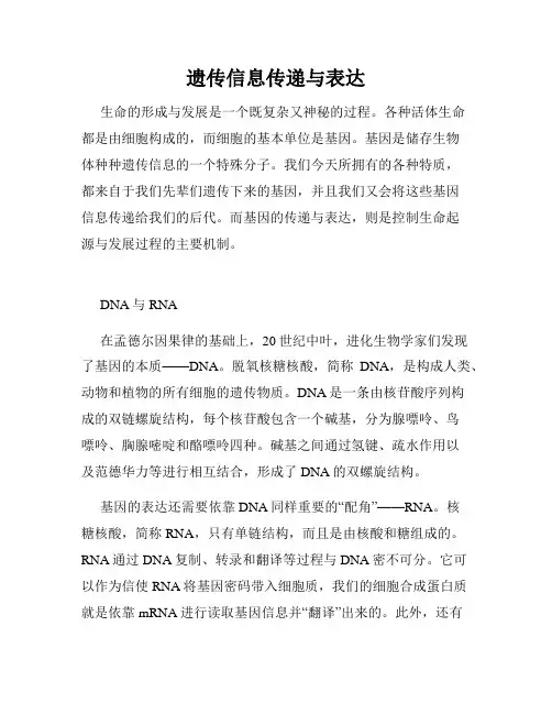 遗传信息传递与表达