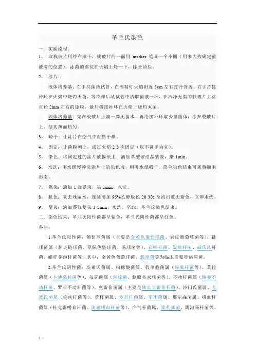 革兰氏染色实验步骤