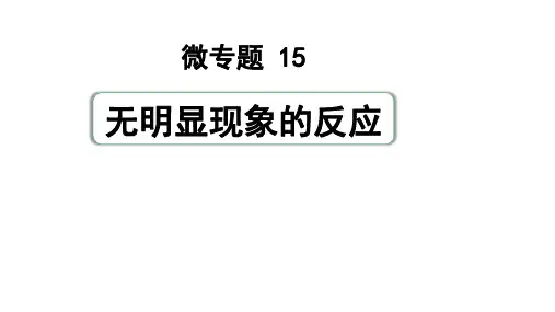 15无明显现象的反应